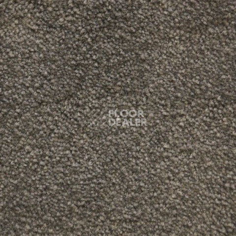Ковролин Radici Lord Lontra 324D фото 1 | FLOORDEALER
